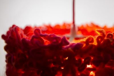 Lumenest Lighting Series