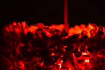 Lumenest Lighting Series