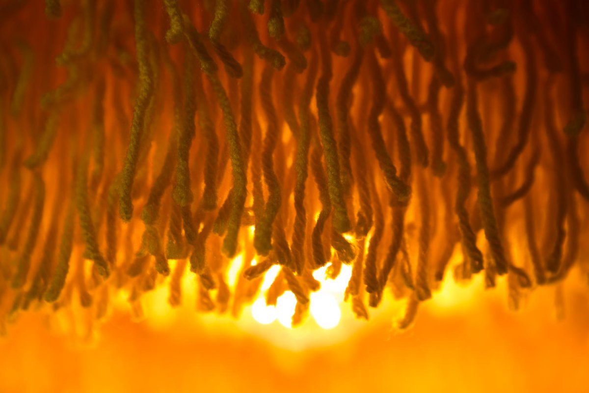 Sunbloom Lighting Series