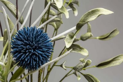 Floral Compositions for Interiors