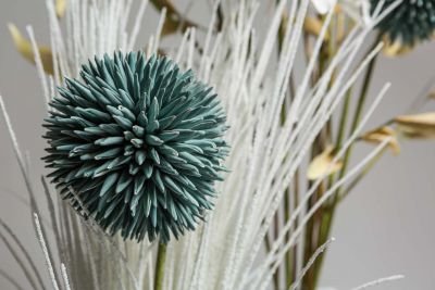 Floral Compositions for Interiors