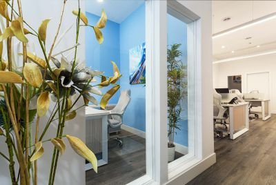 Floral Compositions for Interiors