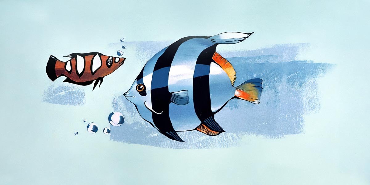 Wall Murals for Kids & Teens